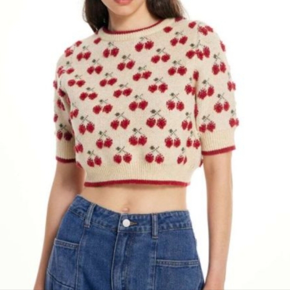 Cider Cream and Red Knit Crop Top - Picture 6 of 11